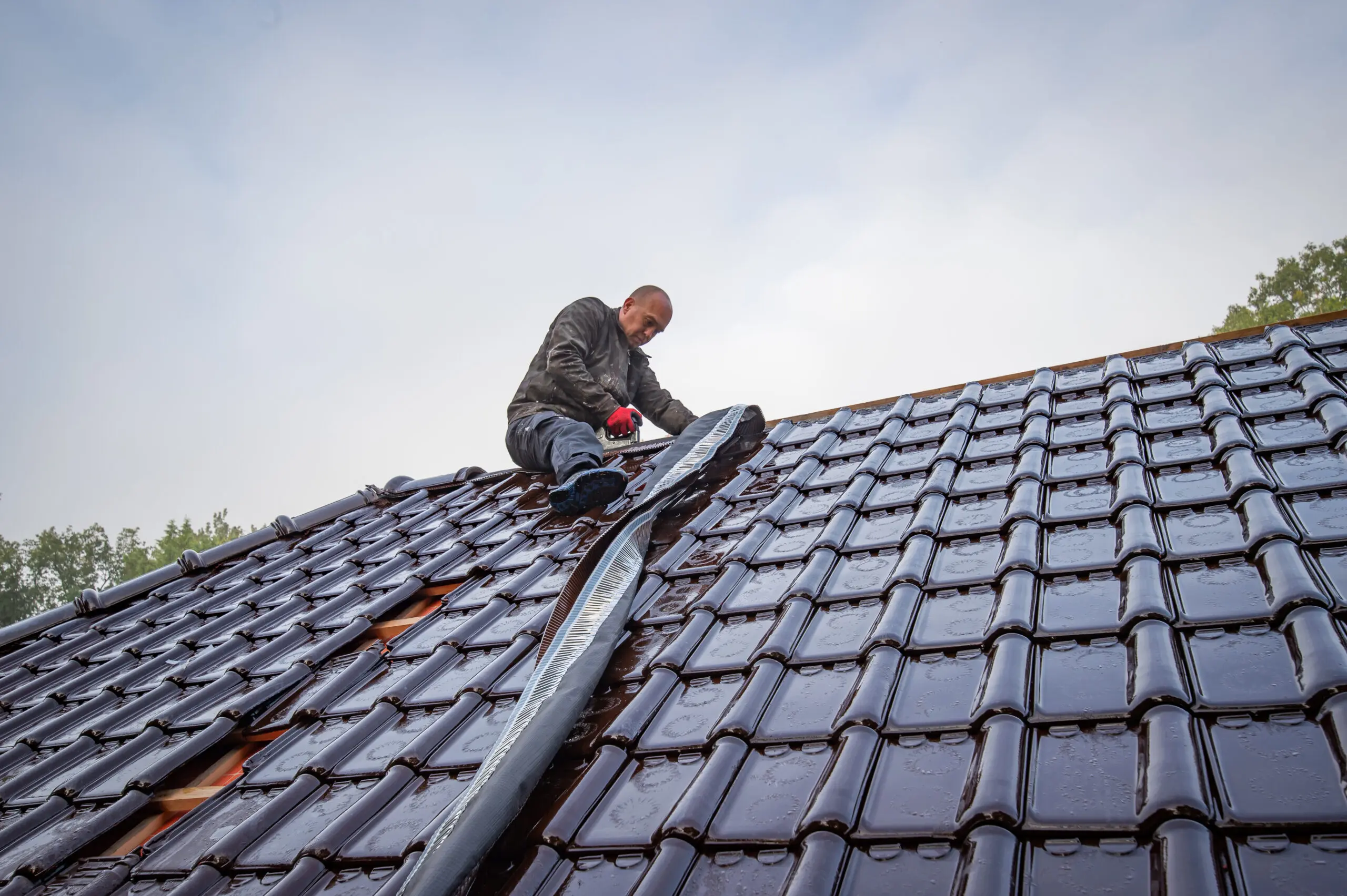 Dakreparatie Nederweert